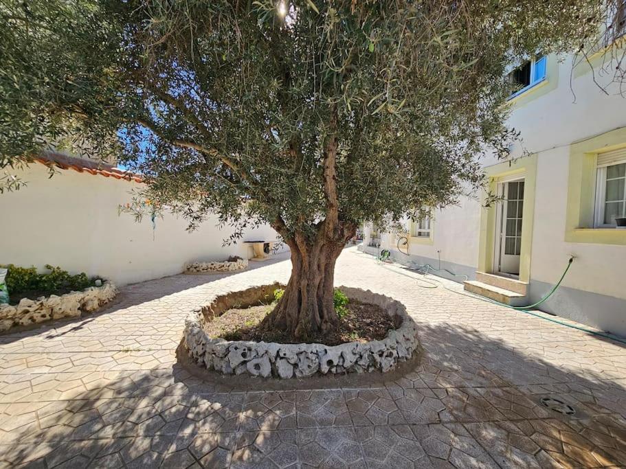 La Casa Del Arbol Villa Fuentidueña de Tajo Kültér fotó